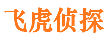 珠晖侦探公司